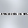 Jesus Died For Our Sins - Small Strip Magnet