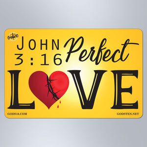 John 3:16 Perfect Love - Large Magnet